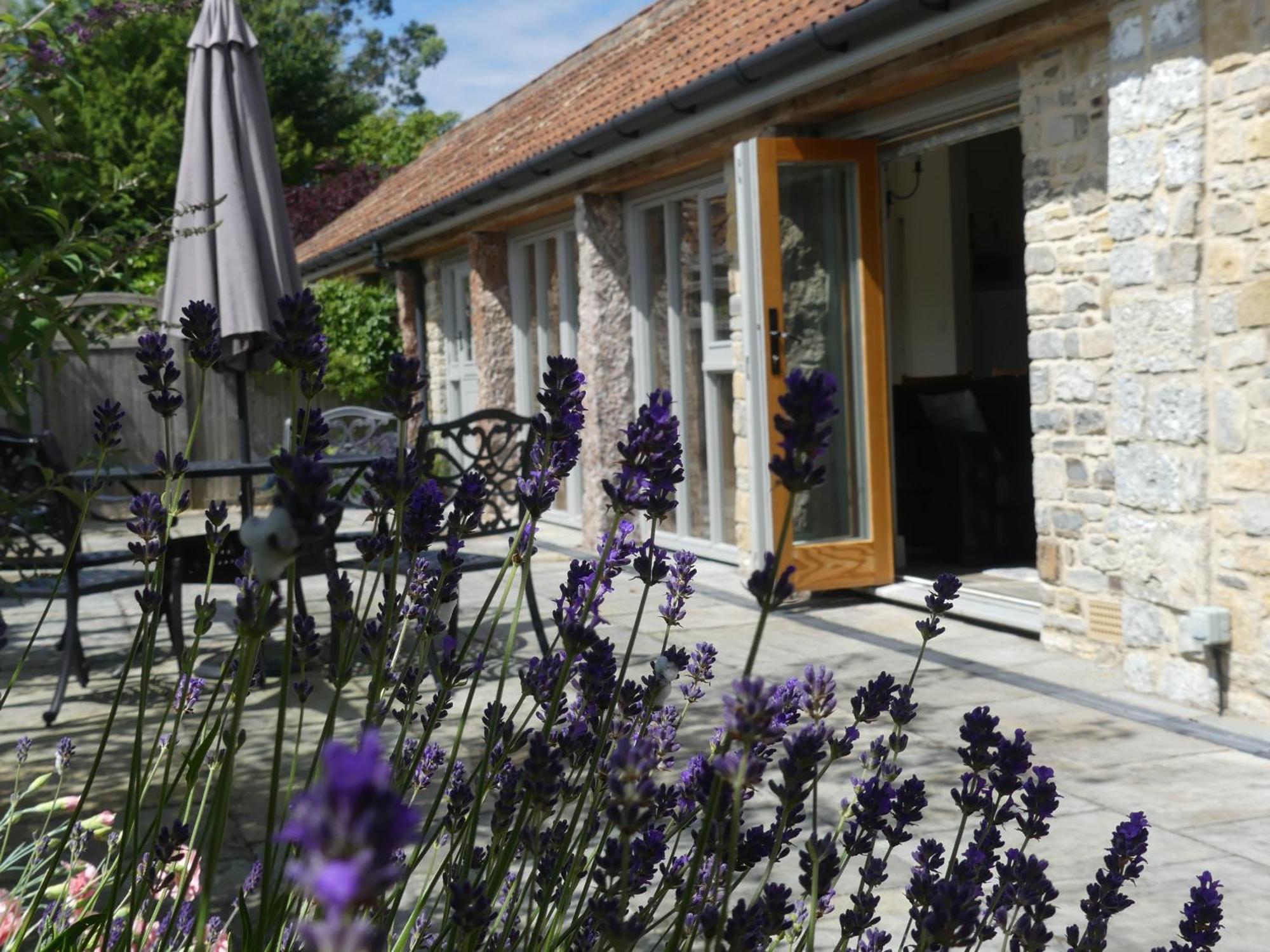 Pear Tree Cottages Wedmore Quarto foto
